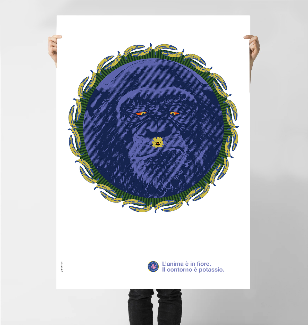 Anima in fiore A 2